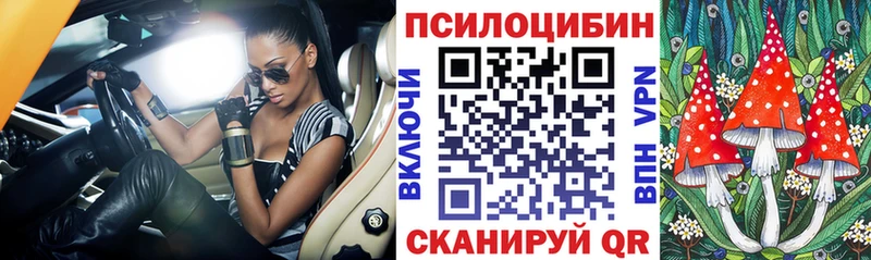 что такое наркотик  Юрга  Галлюциногенные грибы Psilocybe 